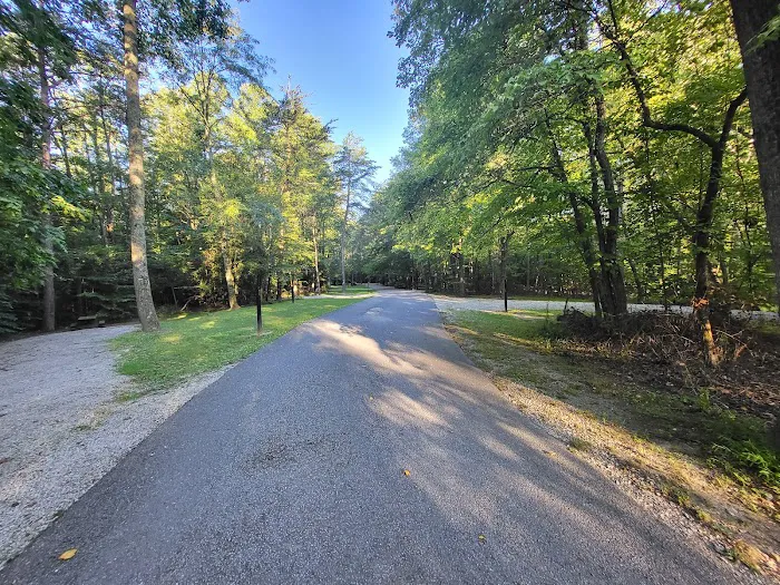Owen-Putnam State Forest 8