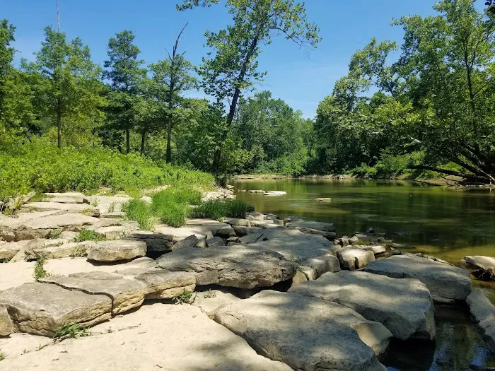 Owen-Putnam State Forest 7