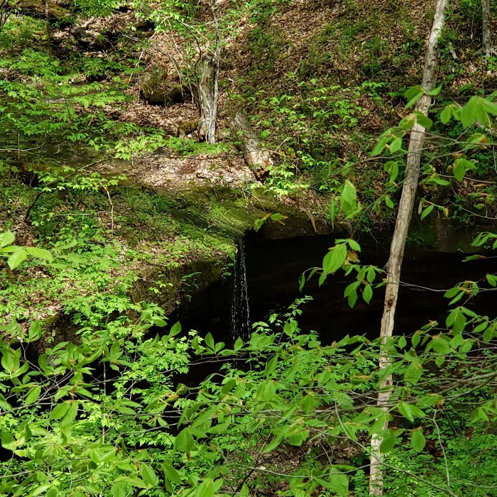 Owen-Putnam State Forest 10