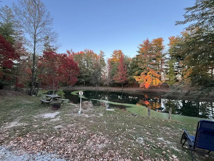 Hillbilly Acres Campground LLC 6