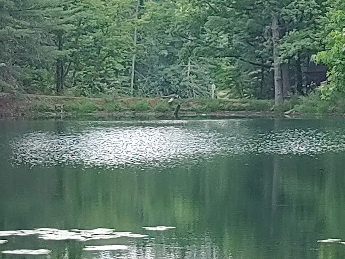 Hillbilly Acres Campground LLC 4