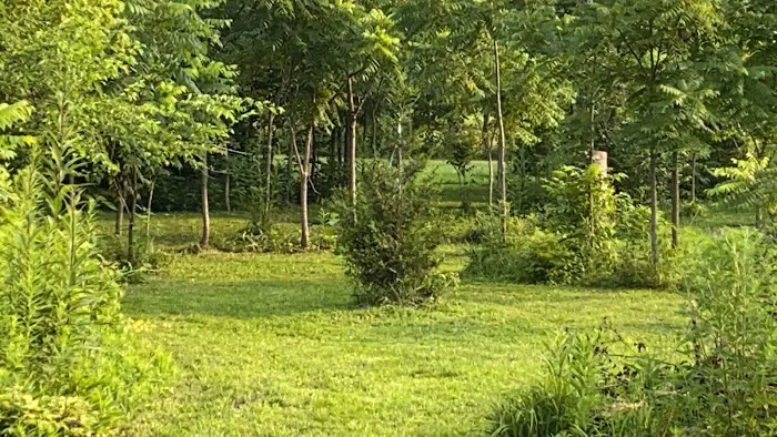 Mud Creek Campgrounds 1