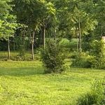 Mud Creek Campgrounds