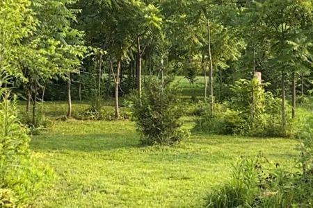 Mud Creek Campgrounds