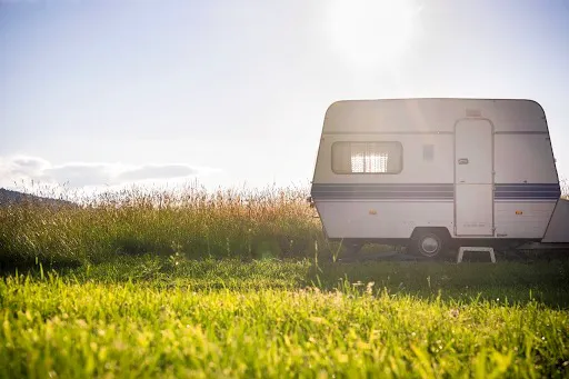 GloWood Campground 6