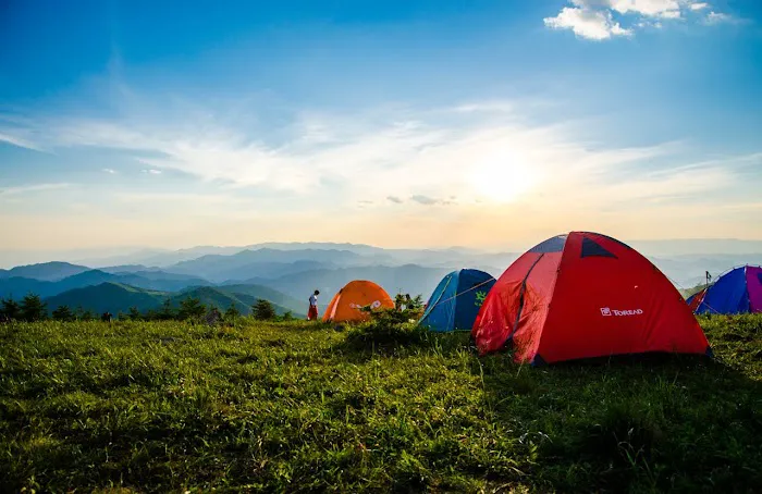 GloWood Campground 7