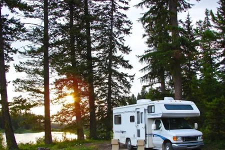 GloWood Campground
