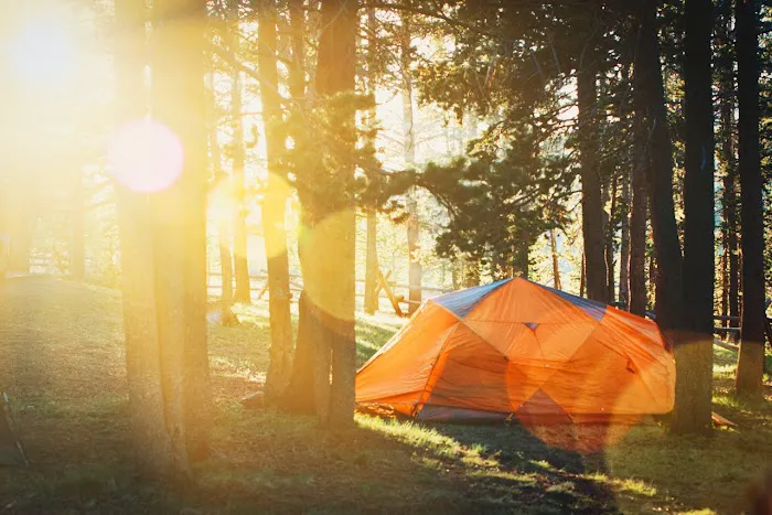 GloWood Campground 8