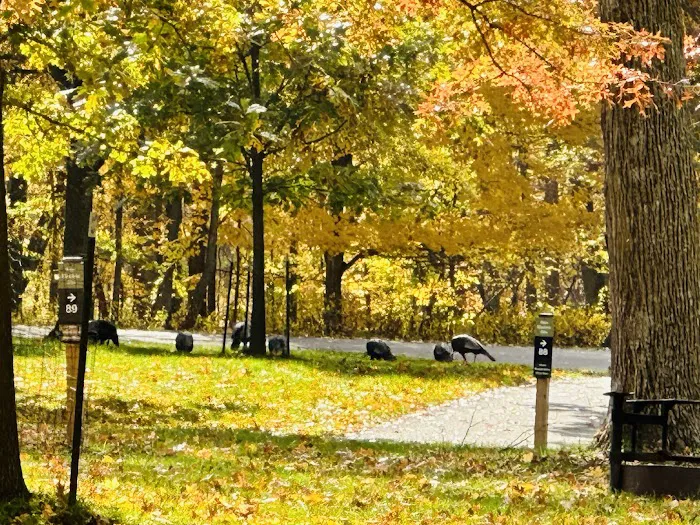 South Lake Campground 3