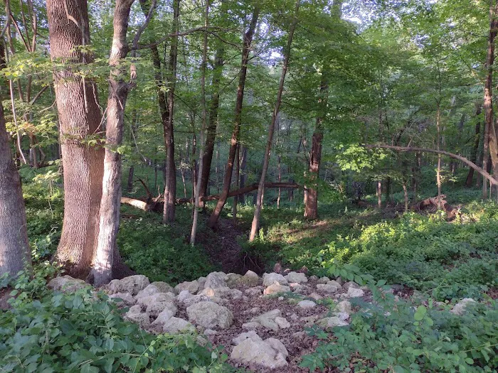 South Lake Campground 10