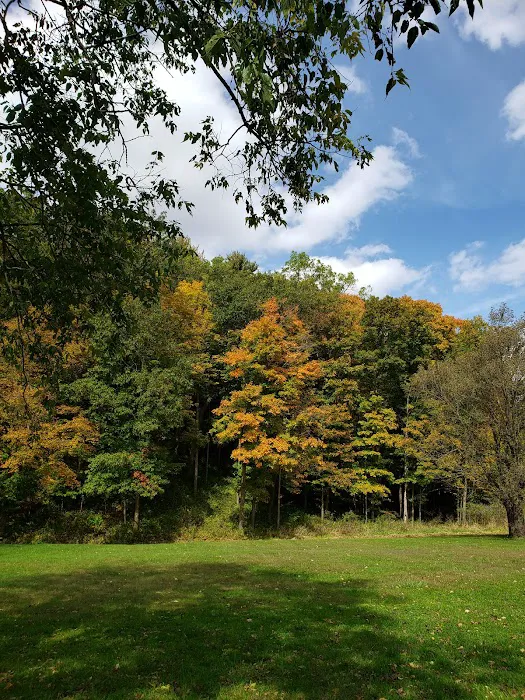 Six Pines Campground 3
