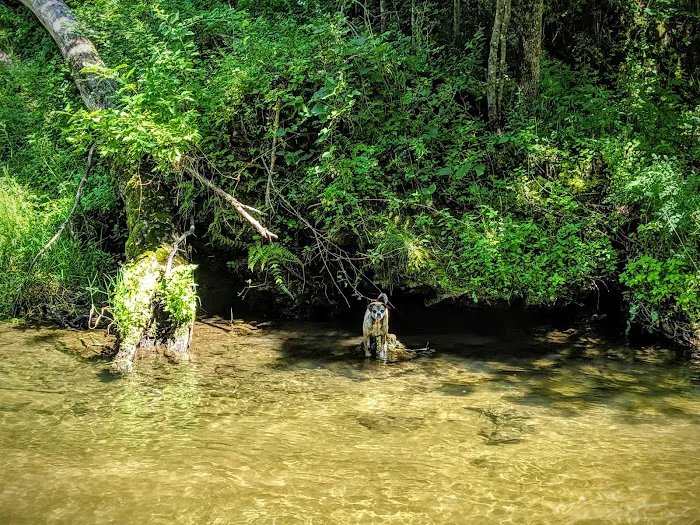 Joy Springs County Park 10