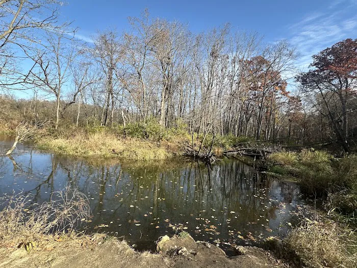 Joy Springs County Park 4