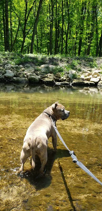 Joy Springs County Park 3