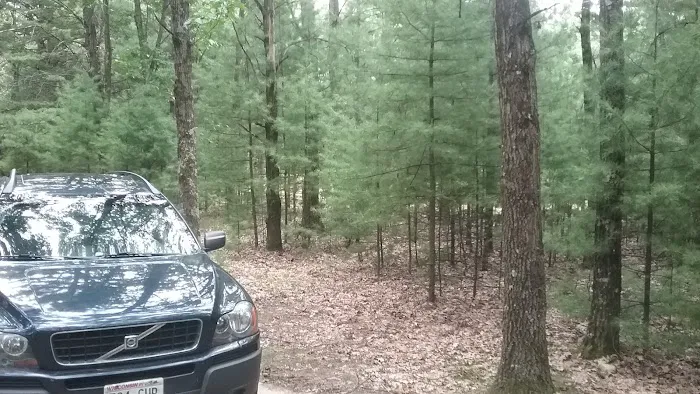 Wildwood Campground, Pine Lake 10