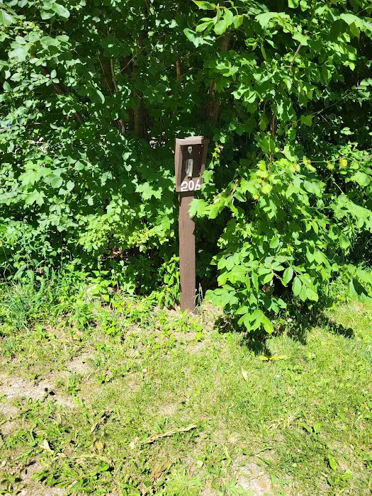 Group Campground 10