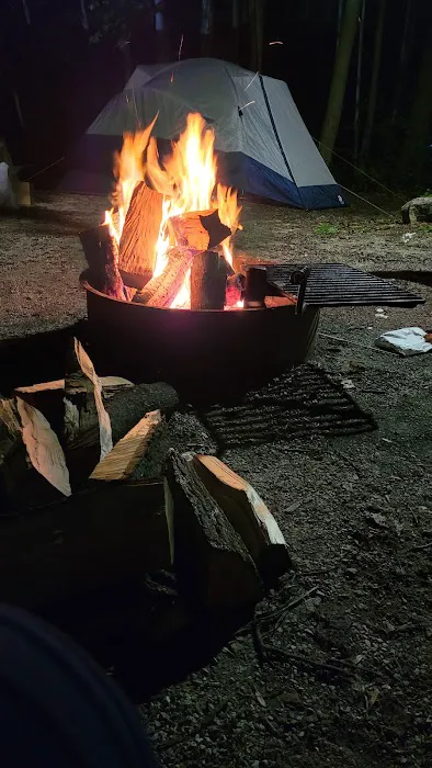 Group Campground 8