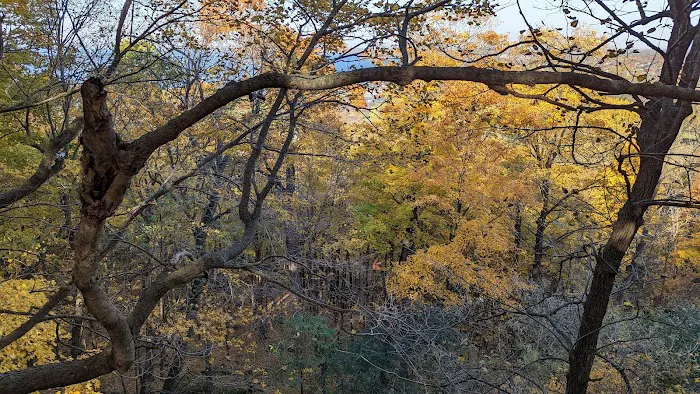 High Cliff State Park Campground 10
