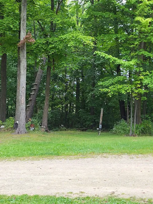 Shady Acres Campsites 8