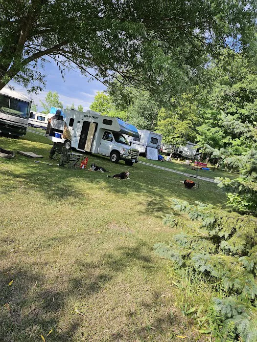 Shady Acres Campsites 1