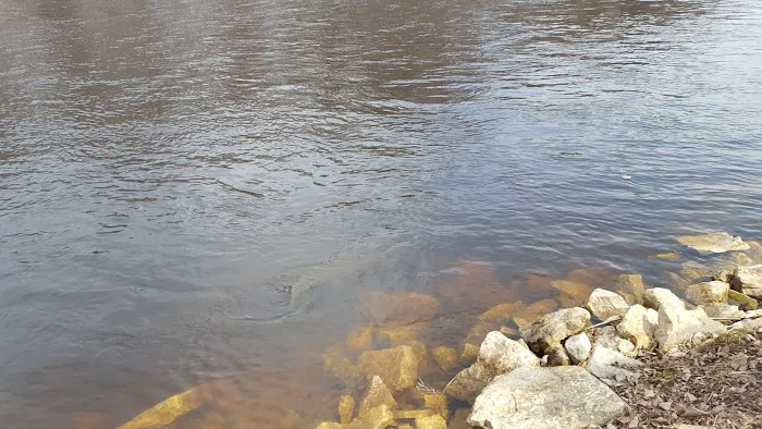 Wolf River Trips & Campground 2