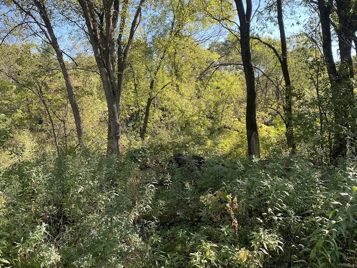 KVR Campsite E 3