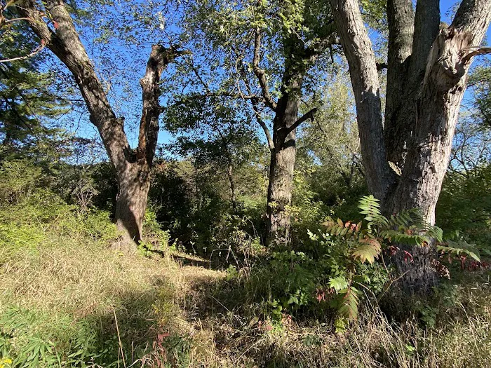 KVR Campsite E 1