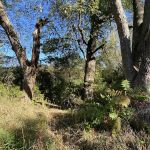 KVR Campsite E