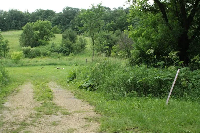 KVR Campsite PP 7