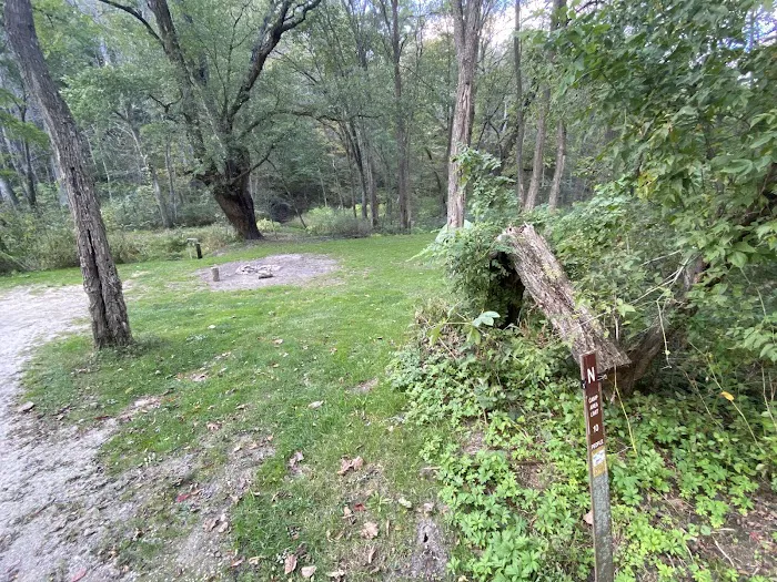 KVR Campsite N 4