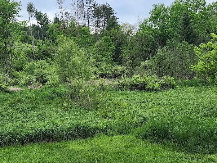 KVR Campsite K 5