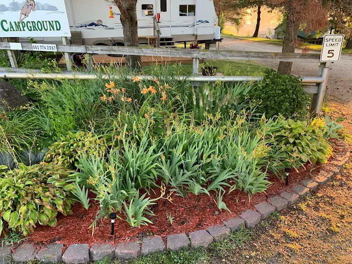 Deer Ridge Campground 8