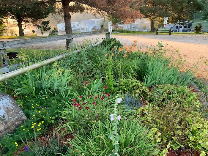 Deer Ridge Campground 2