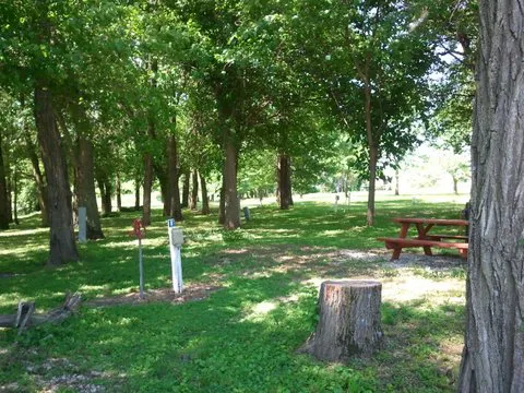 Up Dog RV & Camping 1