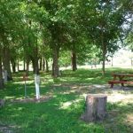 Up Dog RV & Camping