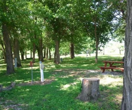 Up Dog RV & Camping