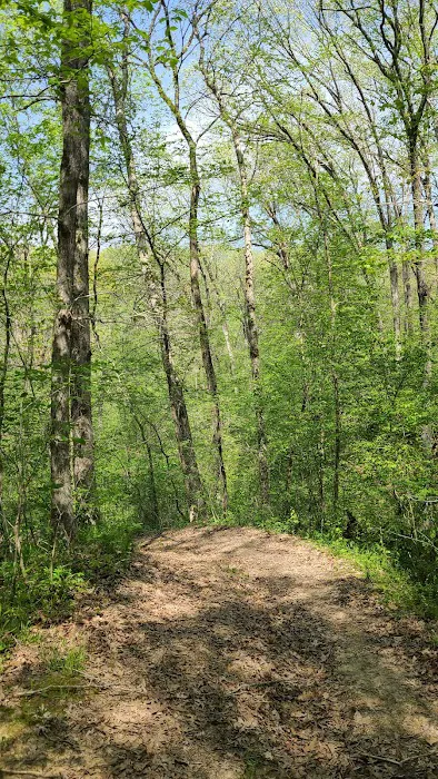 Shimek State Forest Equestrian Campground Lower Camp 8
