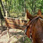 Shimek State Forest Equestrian Campground Lower Camp