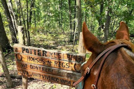 Shimek State Forest Equestrian Campground Lower Camp
