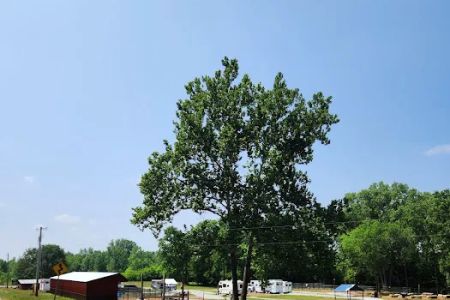 Crooked Creek Horse Camp