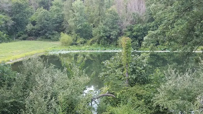 Bitternut Lake Campground 2