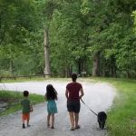 Bitternut Lake Campground