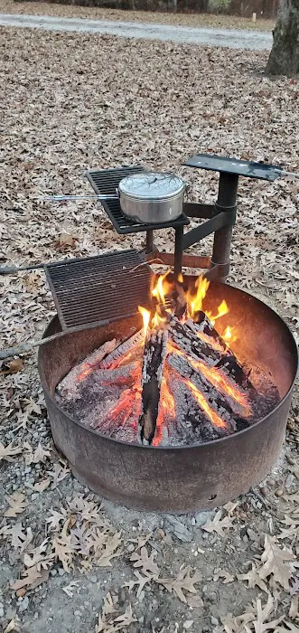 Bitternut Lake Campground 8