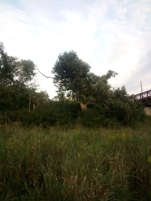 Morgan Creek Campground 3
