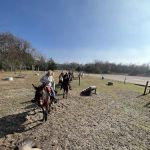 Fort Custer Equestrian Camp & Trailhead