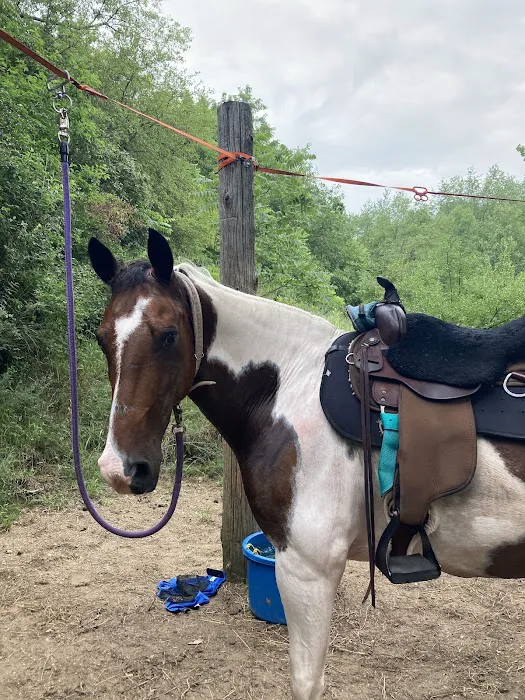 Fort Custer Equestrian Camp & Trailhead 8