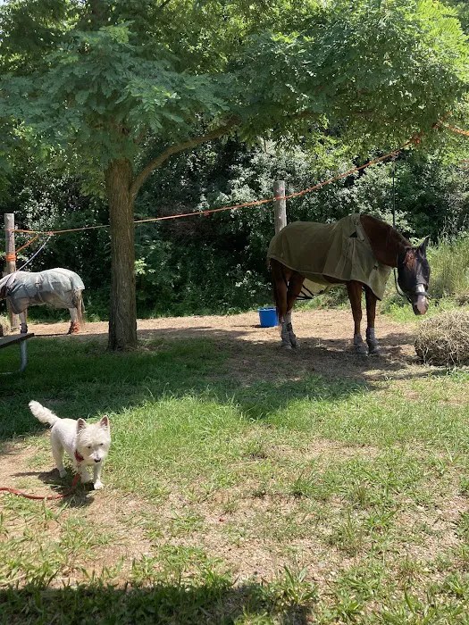Fort Custer Equestrian Camp & Trailhead 9