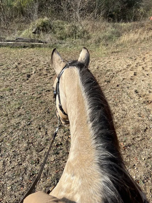 Fort Custer Equestrian Camp & Trailhead 6