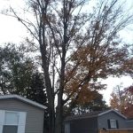 Gun Lake Manufactured Housing Community