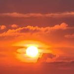 Shady Shores Association